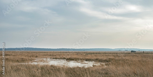 Photography Wide plain with tall yellow grass and frozen fen under cloudy sky
