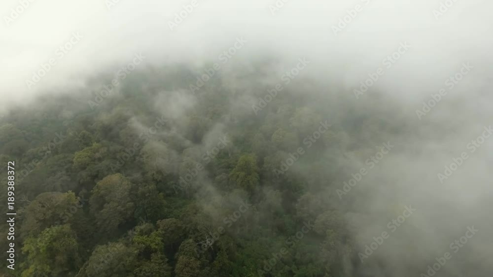 Low lying cloud over evergreen forests. Aerial view of over tropical rainforest mountains with white fog, clouds Jawa island, Indonesia. Fog over the jungle. 4K Aerial footage. Low lying cloud over evergreen forests. Aerial view of over tropical rainforest mountains with white fog, clouds Jawa island, Indonesia. Fog over the jungle. 4K Aerial footage.