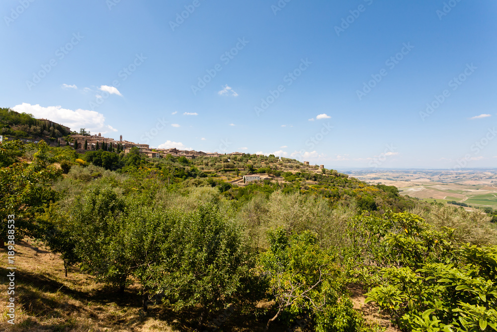 Montalcino view, tuscany, Italy