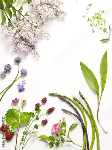 Close-up of variety of flowers on white background