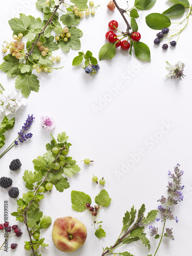 Summer fruits & flowers