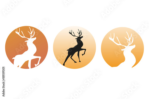 a deer at sunset. Emblem, logo icon.