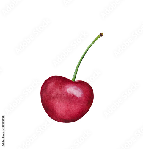 Hand drawn watercolor cherry painting. Dessert ingredient. One single object, isolate. Dark red, bright color. Symbol of beauty, volatility, transience, prosperity, nature, health, freshness. photo