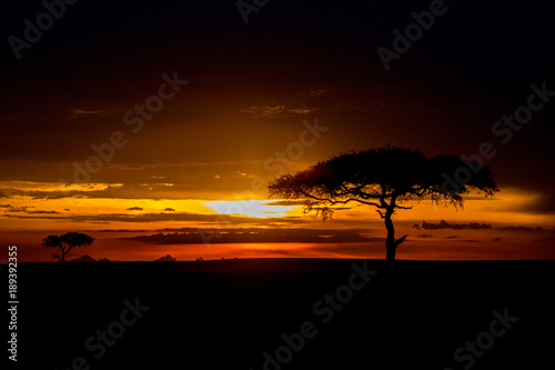 Sunset in Africa © Tony Campbell