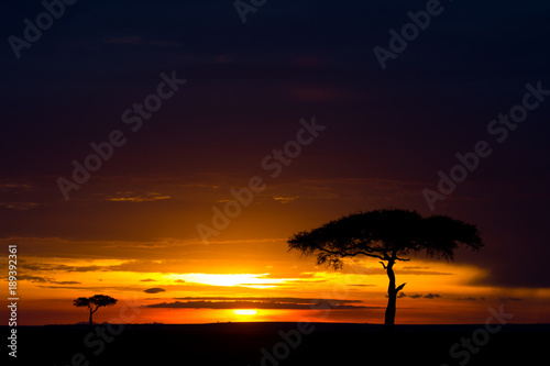 Sunset in Africa © Tony Campbell