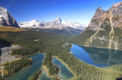 Panoramic Landscape View of Lake O   Hara and Distant Snowy Mountain Tops from Great Hiking Trail on Opabin Prospect in Yoho National Park  British Columbia Canada