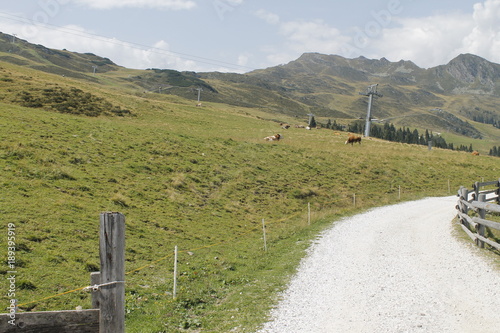 rural road in the mountains photo