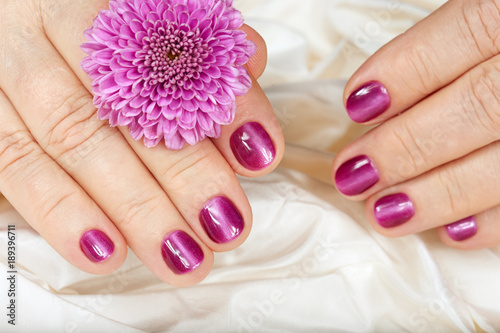 Age manicure for senior woman. Hands with pink nails and daisy flower.