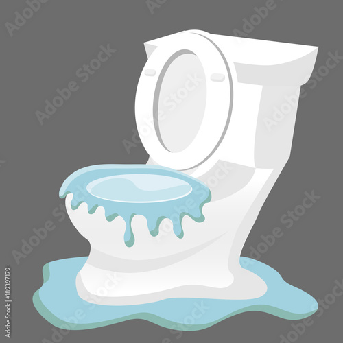 Broken Toilet Overflowing