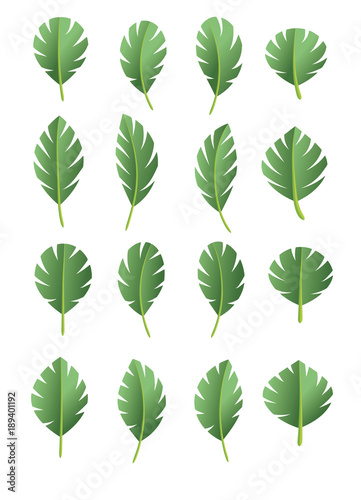 Green abstract leaf icons natural set on white background. Vector illustration. © siaminka