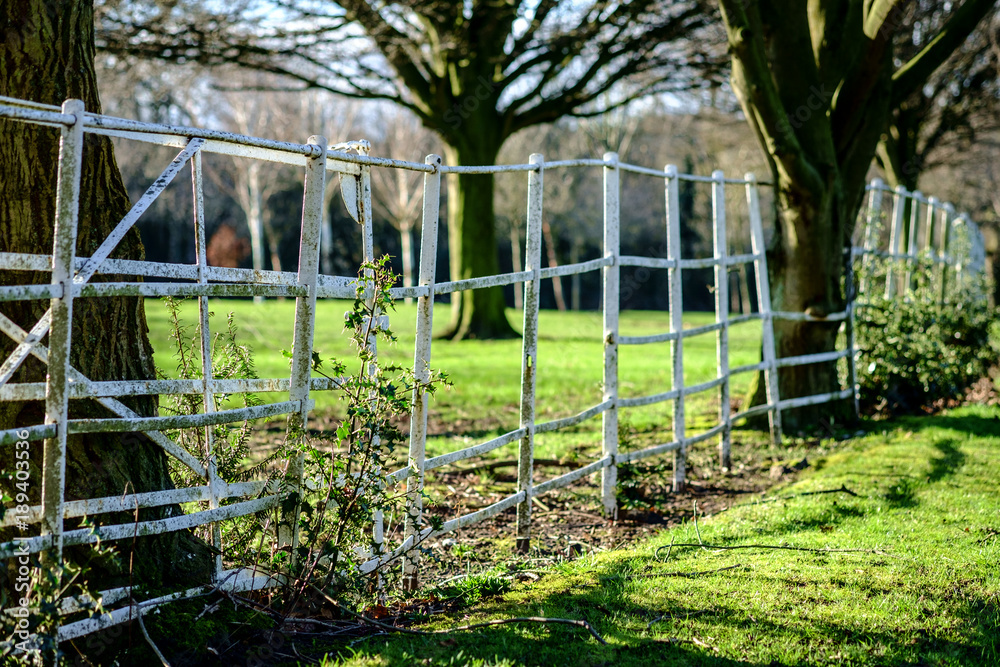 White metal fence in public park with nice sunshine White metal fence in public park with nice sunshine