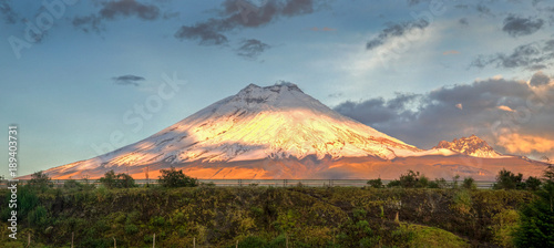 Cotopaxi volcano with sunset light shinning on it's slopes, and crops in the foreground, Ecuador.