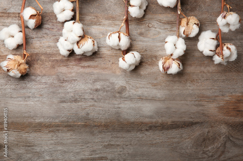 Cotton flowers on wooden background