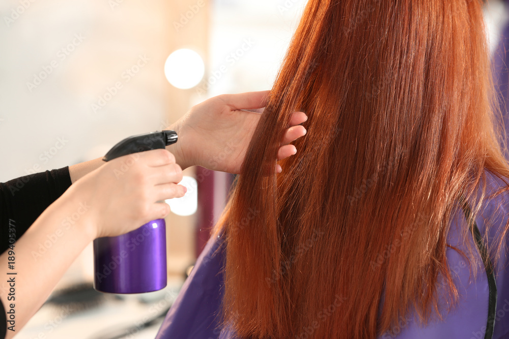 Fototapeta premium Professional hairdresser working with client in salon