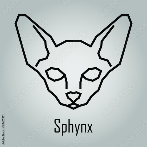 Sphinx. Sphinx cat. Web banner. Vector illustration.