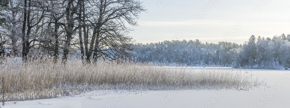 Fototapeta premium Vassruggen på Badholmen på den natursköna holmen i en vik på Värmdö