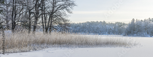 Vassruggen på Badholmen på den natursköna holmen i en vik på Värmdö