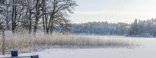 Photography Vassruggen på Badholmen på den natursköna holmen i en vik på Värmdö