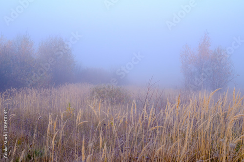 Fog in the autumn field.
