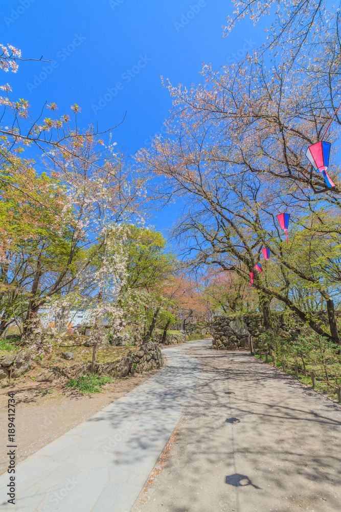 Fototapeta premium 春の懐古園の風景