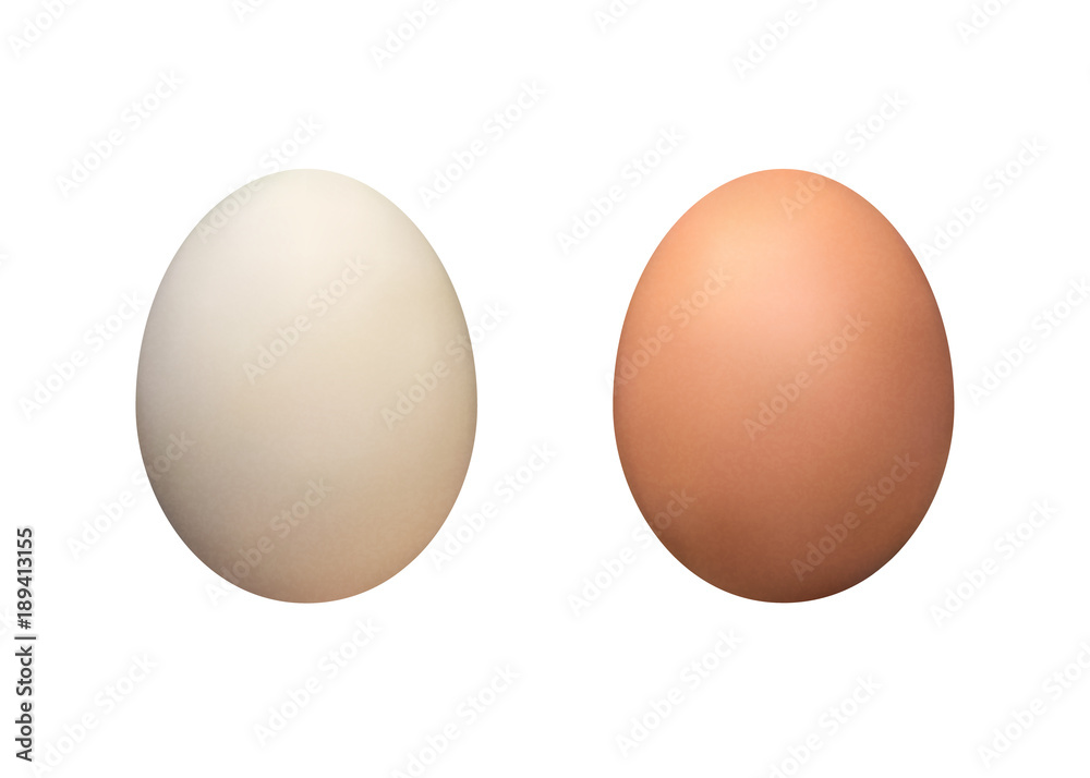 White And Brown Eggs Isolated Vector Illustration White And Brown Eggs Isolated Vector Illustration
