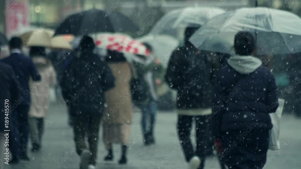 雪 街 豪雪 吹雪 歩く 東京 都会 雪 街 豪雪 吹雪 歩く 東京 都会