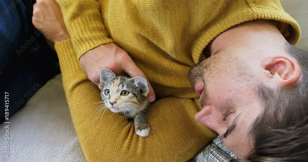 Young man lying on sofa stroking his pet cat while holding her in his arms Young man lying on sofa stroking his pet cat while holding her in his arms