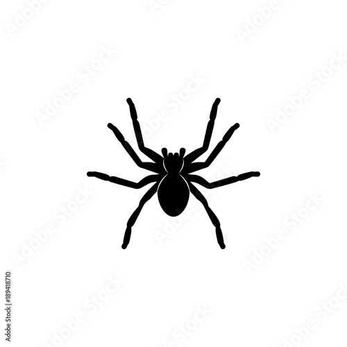 spider tarantula icon. Elements of world of insects icon for concept and web apps. Illustration  icon for website design and development, app development. Premium icon