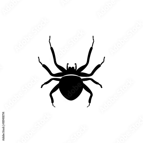 spider icon. Elements of world of insects icon for concept and web apps. Illustration  icon for website design and development, app development. Premium icon