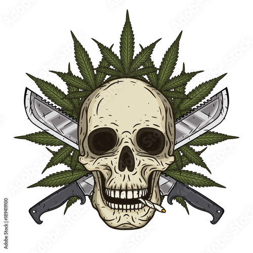 Human skull with two crossed machetes and marijuana leaf in hand drawn style. Rastaman skull with cannabis leafs.