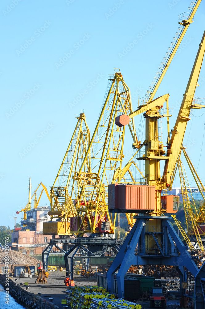 Port cargo crane