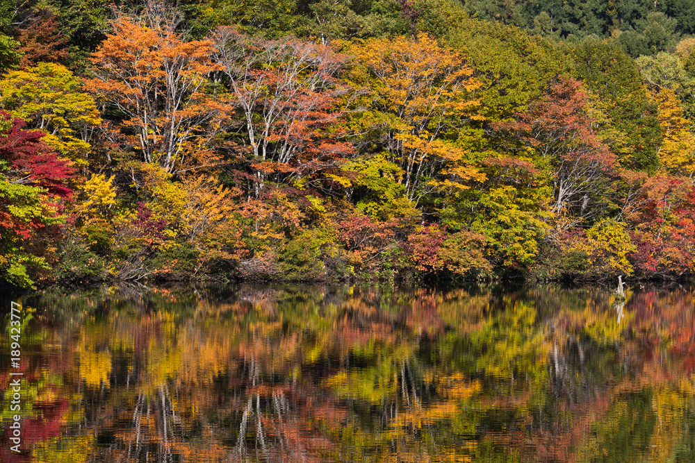Shiragome pond at Nagano prefecture in autumn 