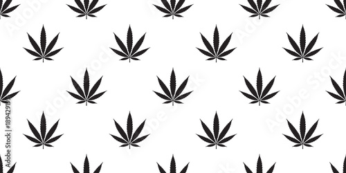 Weed Marijuana cannabis seamless pattern leaf vector isolated wallpaper backgeound © CNuisin