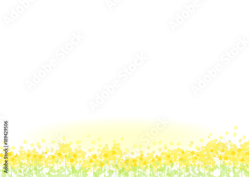 菜の花