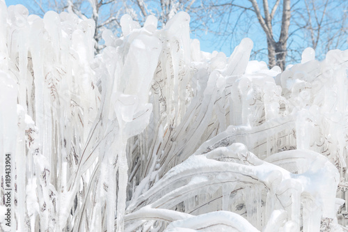 Winter icicles