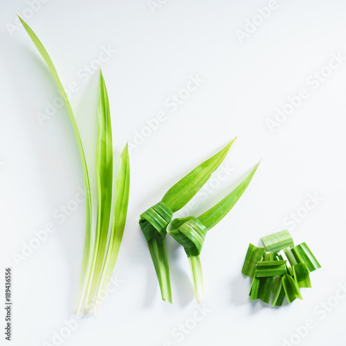 Photography fresh pandan leaves.