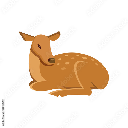Spotted fallow roe deer lying, wild animal cartoon vector Illustration