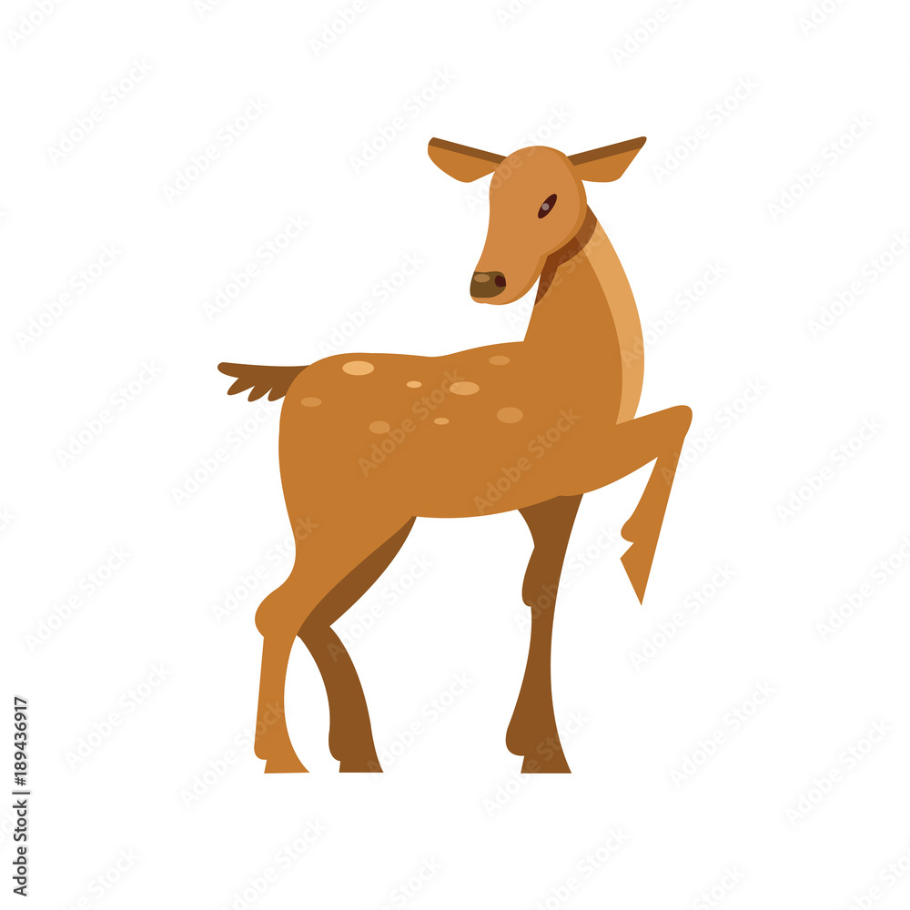 Fallow sika roe deer, wild animal cartoon vector Illustration Fallow sika roe deer, wild animal cartoon vector Illustration