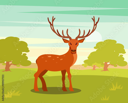 Brown spotted deer with antlers standing  wild animal amongst a backdrop of green meadow and forest vector Illustration