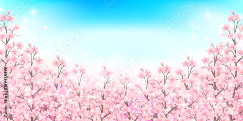 桜 春 風景 背景 © J BOY