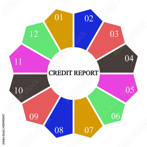 Business infographics. Pie chart with the inscription:credit report