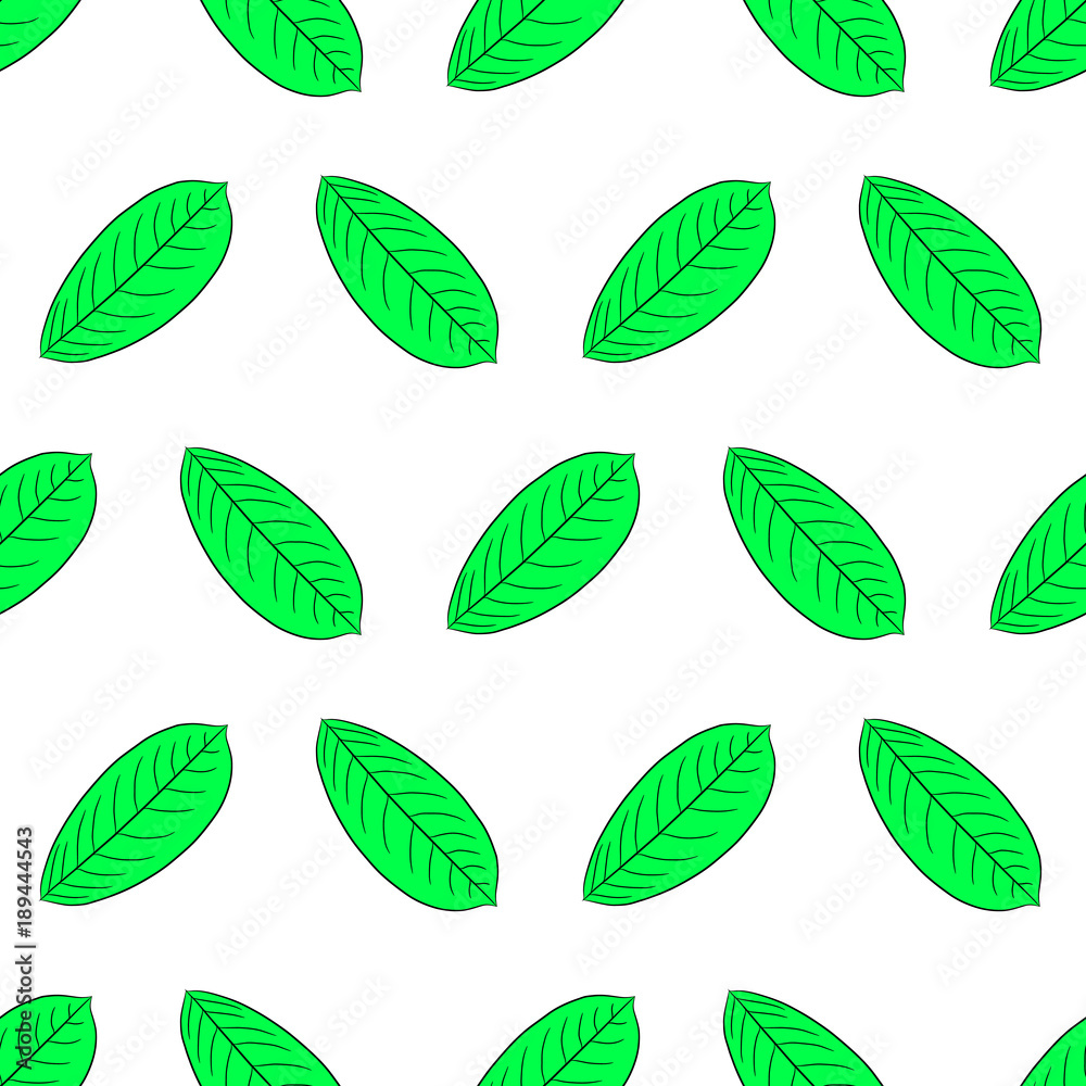Seamless pattern from green leaf of plant from the contour black brush lines on white of vector illustration Seamless pattern from green leaf of plant from the contour black brush lines on white of vector illustration