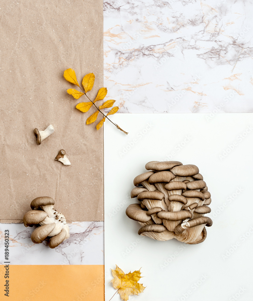 Fresh oyster mushrooms on a combed background of kraft paper, marble and orange table..