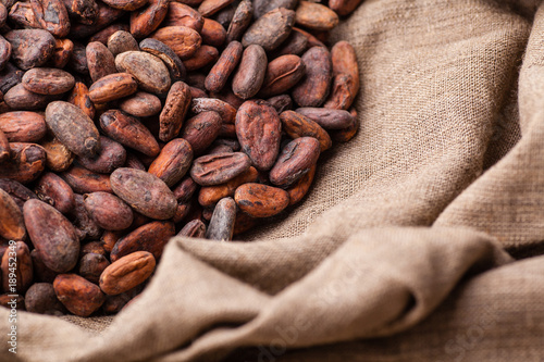 Raw cocoa beans in a sack