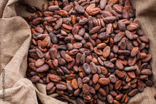 Raw cocoa beans in a sack