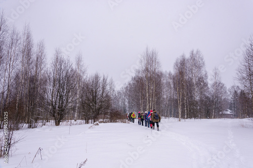 A group of tourists enters the forest on the edge of the village.