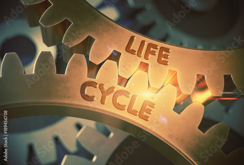 Canvastavla Life Cycle Concept. Golden Cogwheels. 3D Illustration.