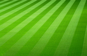 Papier peint photo Football Terrain de football vide avant match  © kebox