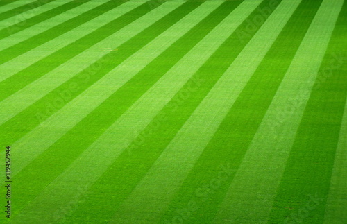 Leeres Spielfeld in einem Fußballstadion