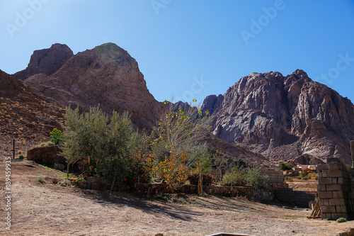 City of Saint Catherine - Egypt photo